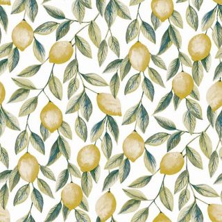 Esempio di dimostrazione Washabel-Gardentovaglia-Pvc 
