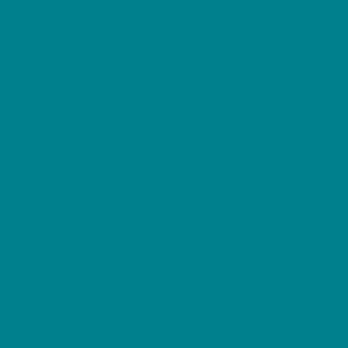 tovaglia-Turquoise-Washabaar-Canard