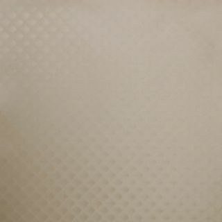 OilCloth_Polyline_zafiro_beige4