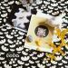 tovaglia-Beige-zwart-lola