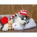 Tovaglietta-Chattige-Hond-Easy-Washabel-tovaglia-Recyclebaar-Christmas Mass-Kerstvibe